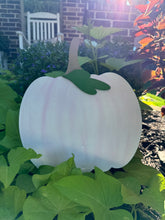 Load image into Gallery viewer, Pastel Pumpkin Trio