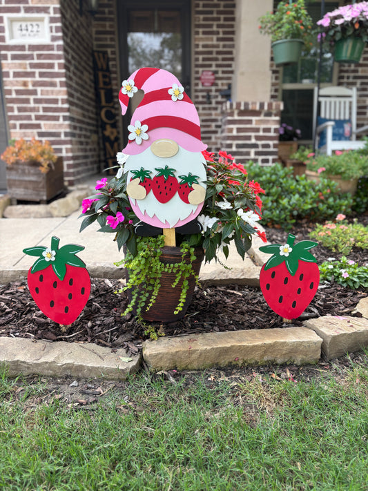 Gnome Strawberry Trio