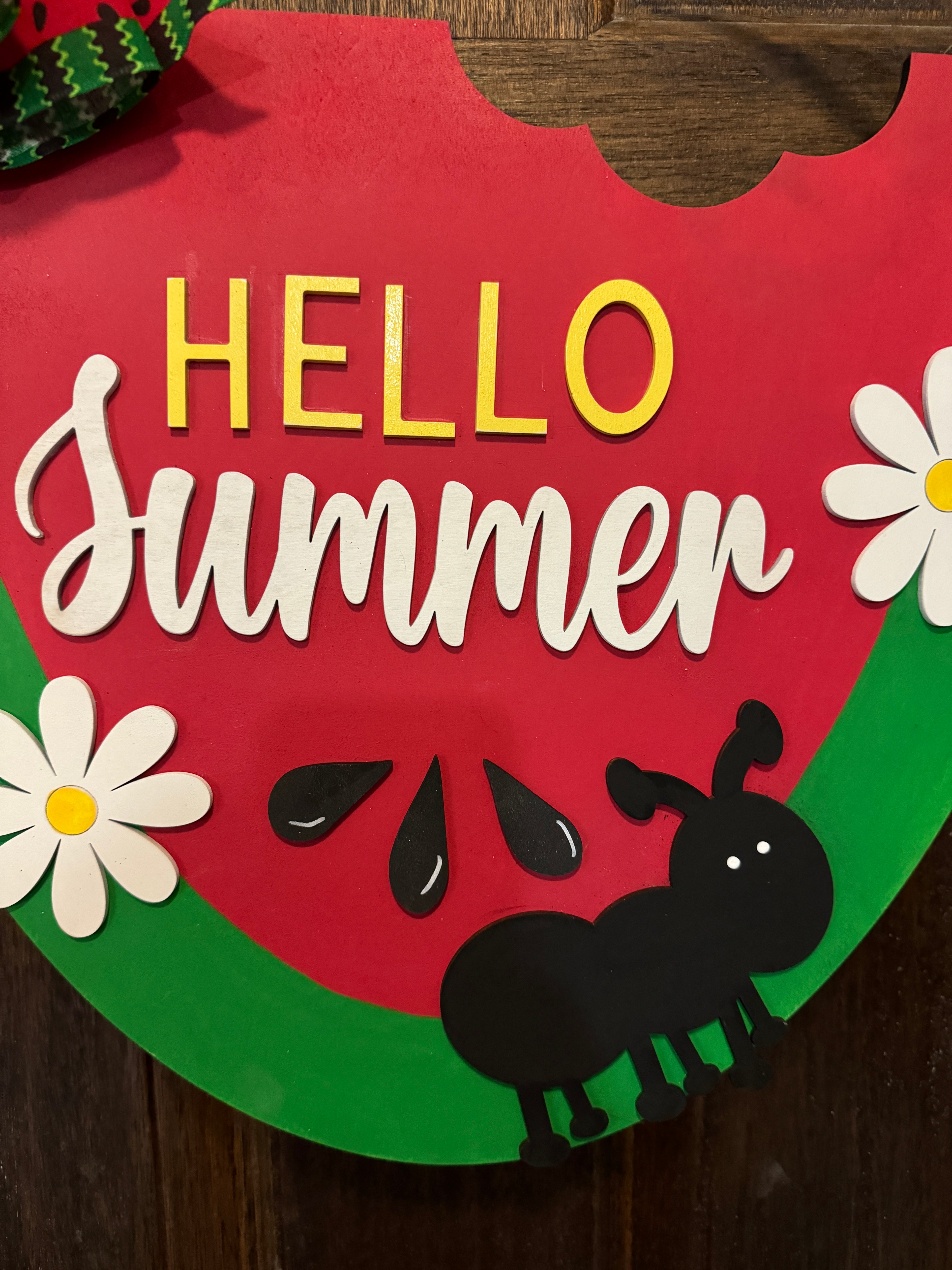 Watermelon Door  Hanger