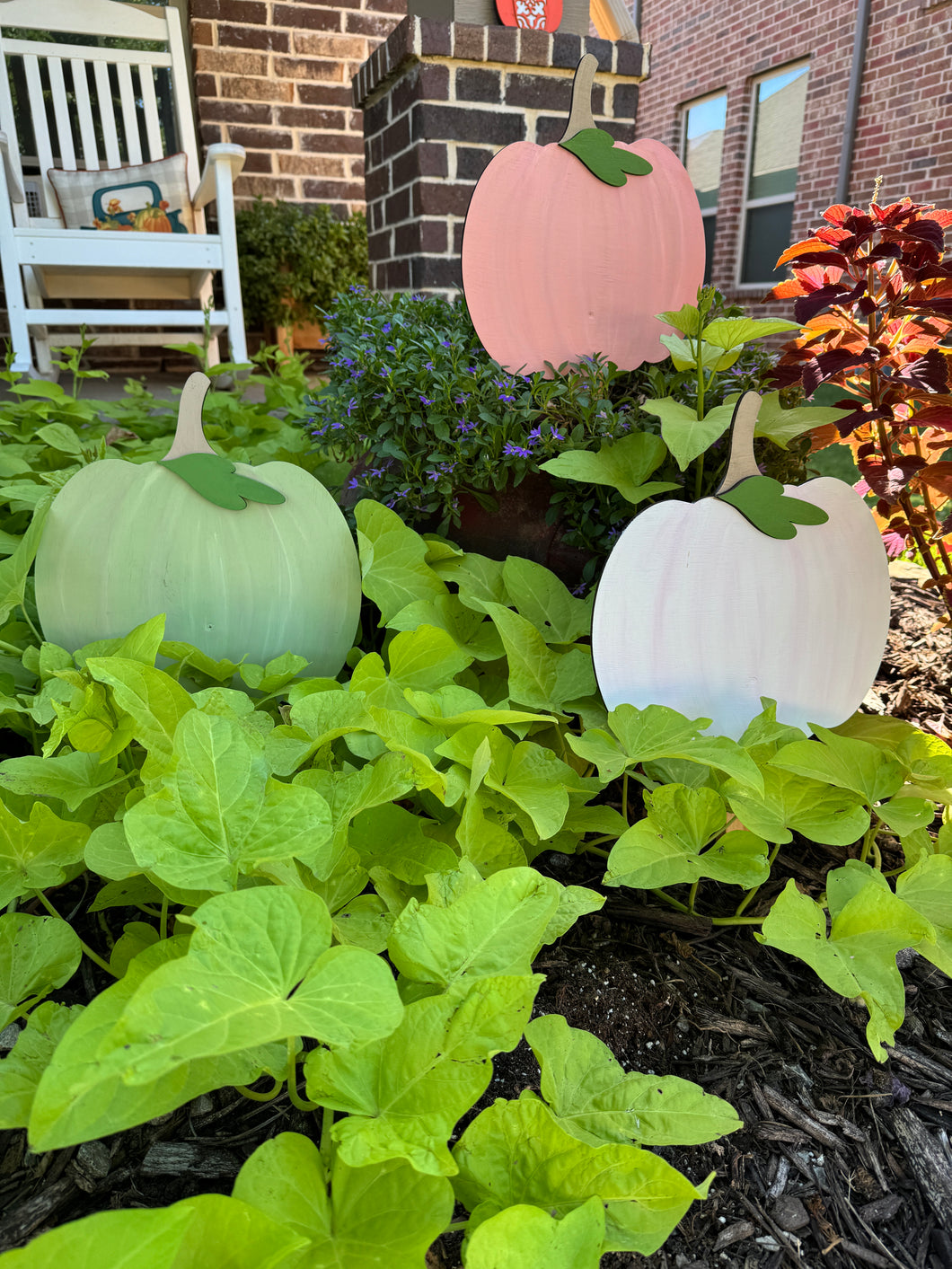 Pastel Pumpkin Trio